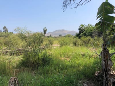 SE VENDE TERRENO RUSTICO DE 4,251m2 EN MALA