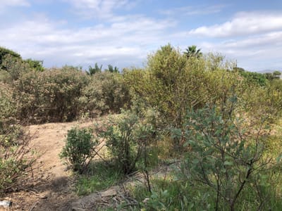 SE VENDE TERRENO RUSTICO DE 1,756m2 EN MALA