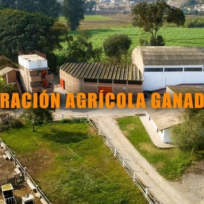 VENTA DE FUNDO AGRICOLA GANADERO EN PACHACAMAC DE  HECTAREAS