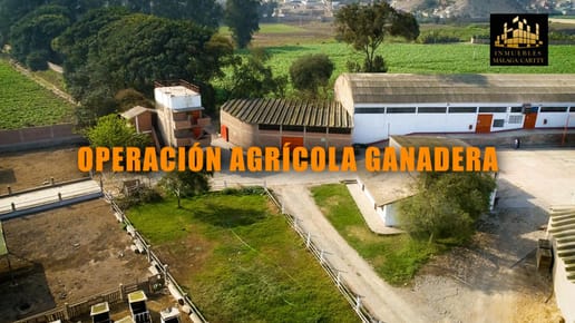 VENTA DE FUNDO AGRICOLA GANADERO EN PACHACAMAC DE 38.6 HECTAREAS