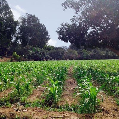 EXCLUSIVO TERRENO CON MAGNFICA UBICACIN  CIENEGUILLA