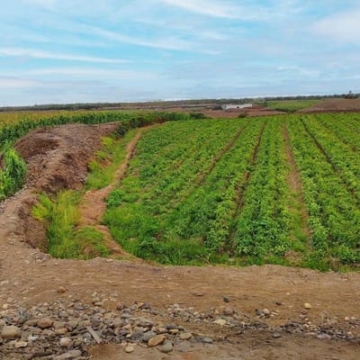 Excelente terreno muy cerca al nuevo Megapuerto de Chancay