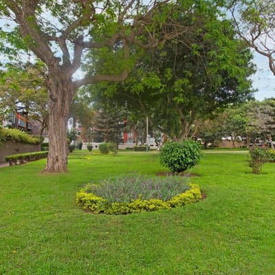 Impecable departamento con fondo y vista a parque en Urb La Aurora Miraflores