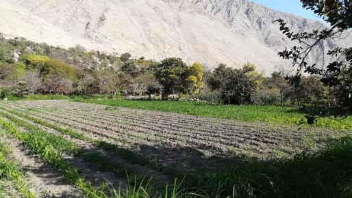 Venta de Terreno en Lunahuana