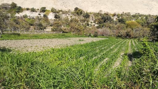 Venta  OCASIÓN de Terreno en Lunahuana
