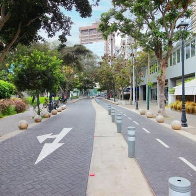 Ideal para Proyecto inmobiliario Comercial o Residencial calle Los Libertadores