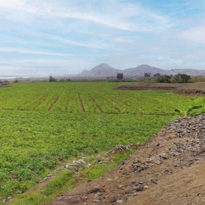 Excelente Terreno cerca a Mega puerto de Chancay