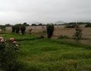 Venta de Terreno agrcola en Huaral