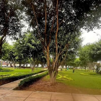 VENDO LINDO DPTO FRENTE AL CENTRO NAVAL EN CALLE MAURICIO CASATTI  SAN BORJA
