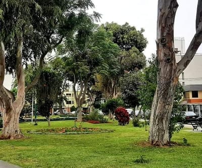 VENDO LINDA CASA FRENTE AL PARQUE PANAMA EN URB VISTA ALEGRE  SURCO