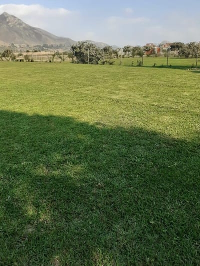 Venta de Terreno en Pachacamac