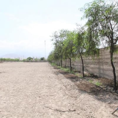 Venta de Terreno en el Carmen – Chincha