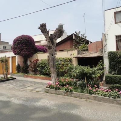 CASA LOMAS DE LA MOLINA VIEJA