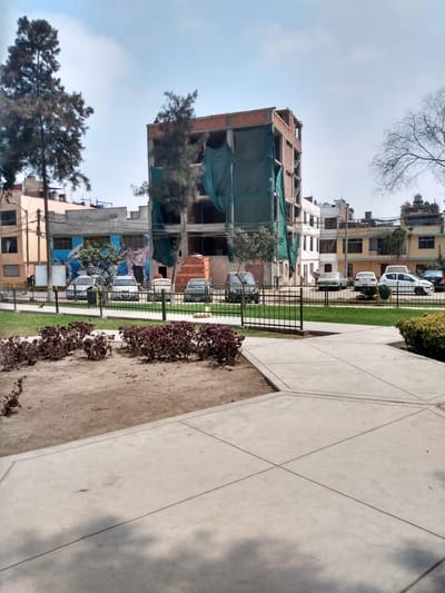 Venta de Departamento en Los Olivos