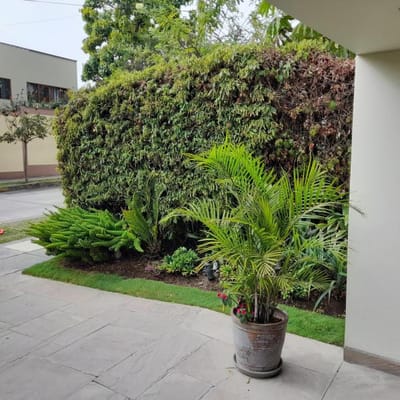 REMATO CASA EN TAMBO DE MONTERRICO CENTRO COMERCIAL CHACARILLA SURCO