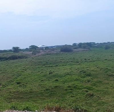 TERRENOS  AGRICOLAS y  URBANOS  EN VENTA San Jos   Chiclayo