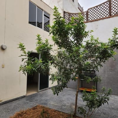 SE VENDE CASA EN  GALEANO CHAMA SURCO