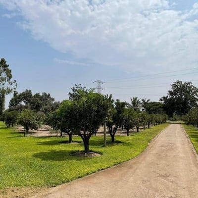 Terreno  hectreas en Pachacamc cerca canal