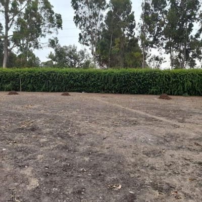 VENDO TERRENO DE 2,308M2 - CONDOMINIO PACHACAMAC - 3RA ETAPA
