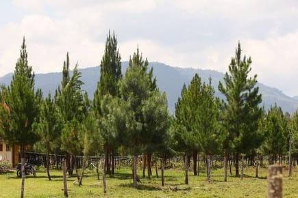 EL MEJOR LUGAR PARA VIVIR EN LA NATURALEZA OXAPAMPA ECOLODGE