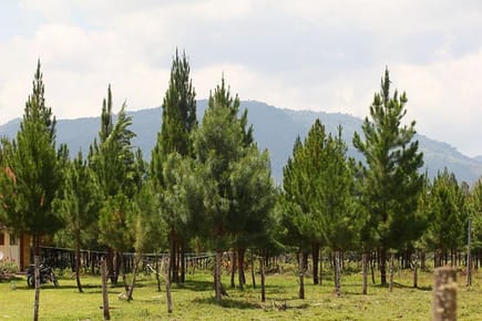 EL MEJOR LUGAR PARA VIVIR EN LA NATURALEZA OXAPAMPA ECOLODGE