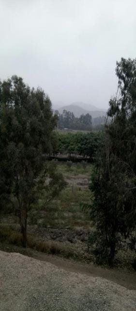 VENDO EXCELENTE TERRENO EN PACHACAMAC