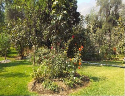 Casa De Campo En Venta En Santa Eulalia