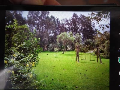 Terreno agrícola en Venta en Santa Eulalia
