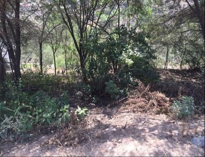 VENTA DE TERRENO EN CONDOMINIO
