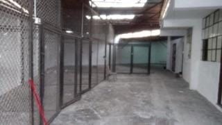 LOCAL COMERCIAL EN ALQUILER