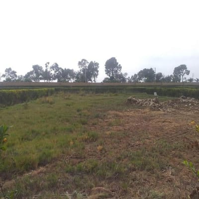TERRENO en VENTA en EL CARMEN