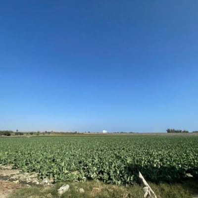 Terreno en Venta en San Vicente de Caete