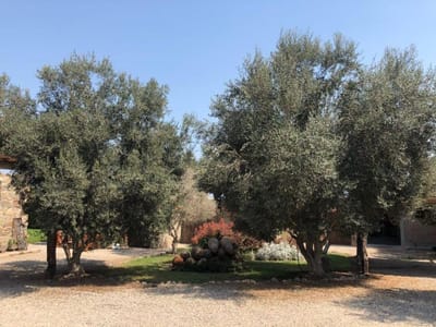 Venta de Casa de campo en Alto Laran Chincha