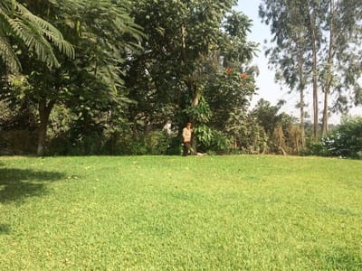 Alquiler de Casa en Santiago De Surco