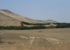 Venta de Terreno agrícola en Pachacamac