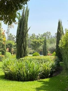 Atención constructores Excelente terreno en venta en Cineguilla