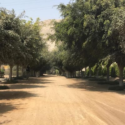 FUNDO LA PRADERA LOTE  M EN EXCLUSIVO CONDOMINIO DE CAMPO