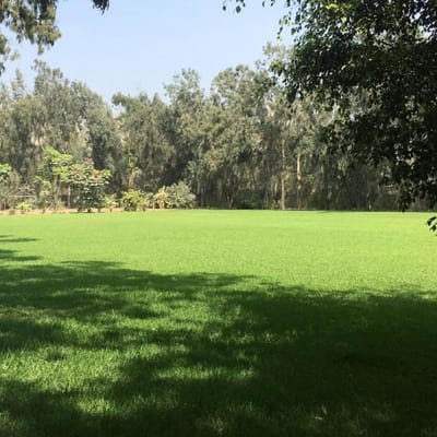 REALMENTE HERMOSOS  M TODO VERDE EN CIENEGUILLA CON BUNGALOW
