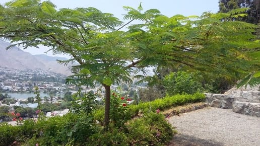 Venta de Terreno en La Molina