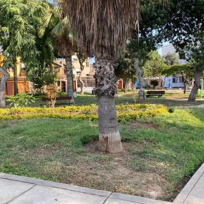 DPTO. EN SURCO, 1ER. PISO_FRENTE A PARQUE