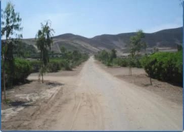 Venta Terrenolote  Pachacamac