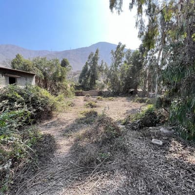 Terreno Semi Rustico En Venta En Chosica