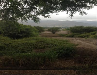 Venta de Terreno en Pachacamac