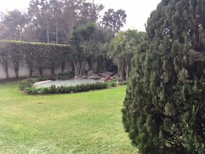 Alquiler de Departamento en Santiago De Surco