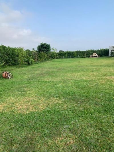 Terreno / Lote en Venta en Nuevo Imperial