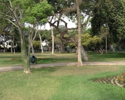 CASA PARQUE ACOSTA  SAN ISIDRO