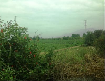 Venta de Terreno en Huaral