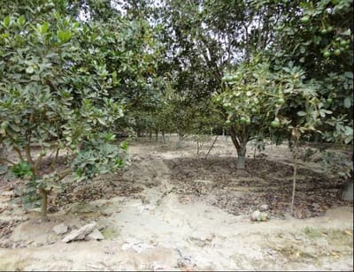 Terreno / Lote en Venta en Asia