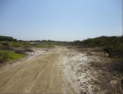 CALLE 31 , A PASOS DEL PENTAGONITO