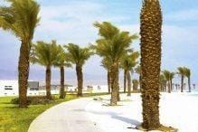 Terreno / Lote en Venta en Asia